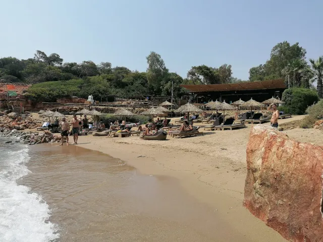 חוף חול עם שמשיות קש, מיטות שיזוף ומבנה עץ כהה בין העצים