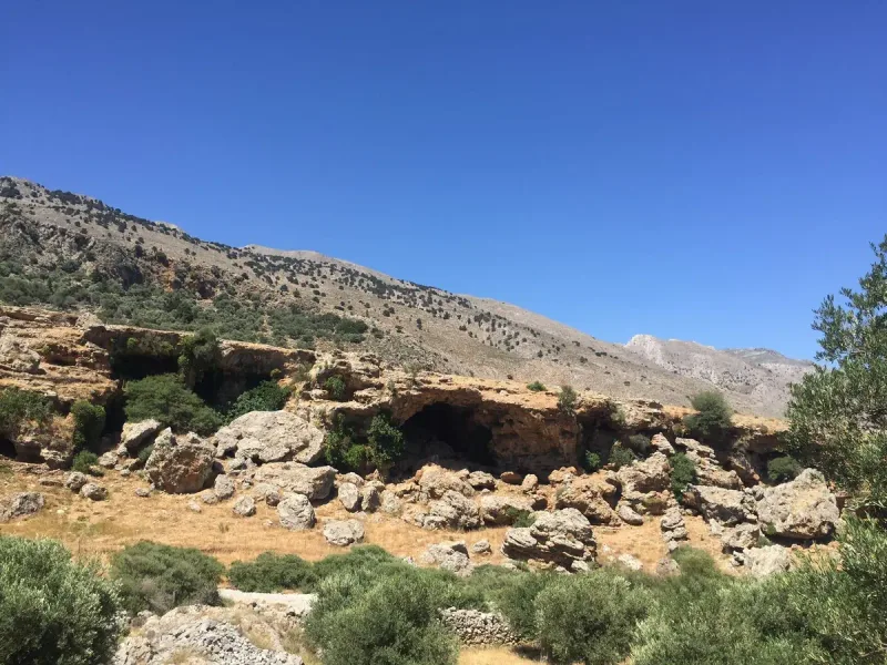 מדרון סלע גיר עם חלל מאורה ומצוקים חשופים באזור קניון אימברוס בכרתים, בין עצי זית