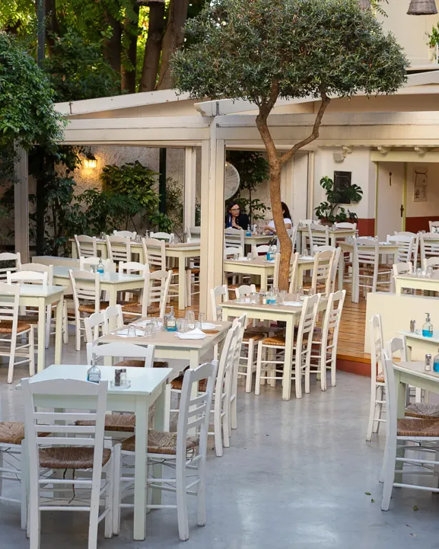 חצר עם שולחנות לבנים וכיסאות קש, סביב עץ נטוע במרכז