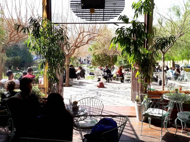 חצר מוצלת עם כיסאות מתכת לבנים, עציצים גדולים ויושבים רבים