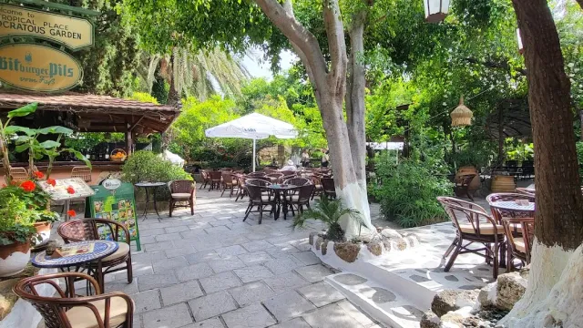 חצר גינה מרוצפת בצל עצים גבוהים, עם שמשייה לבנה וכיסאות קש