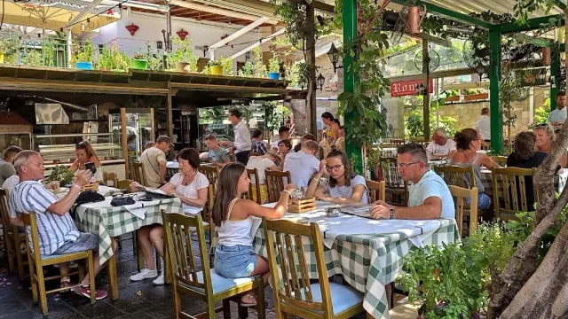 חצר מוצלת בצמחייה עם מפות משובצות ירוקות ושולחנות מלאים