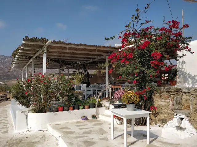מרפסת מסוידת עם פרגולת עץ, בוגנוויליה אדומה, עציצים ושולחן לבן עם פרחים