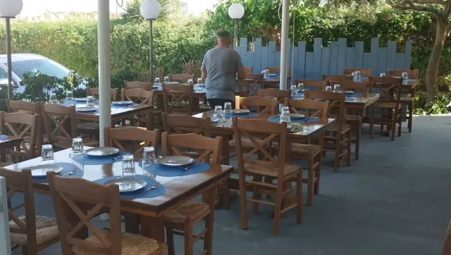 שולחנות עץ ערוכים בצלחות כחולות וכיסאות בחצר, מול גדר אפורה וגדר חיה